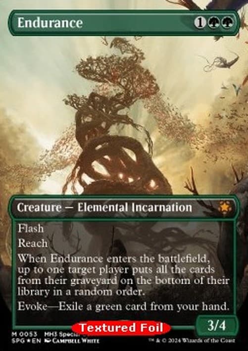 Magic: The Gathering Endurance