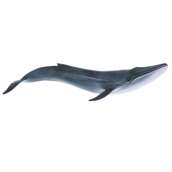 Realistic animal whale models Action figures Children