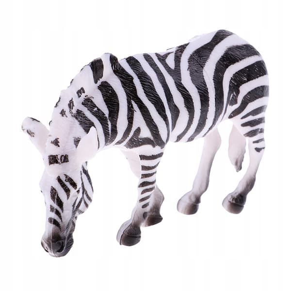 Simulation model