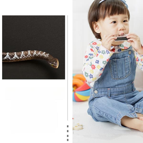 2 PCS. DECORATIVE PVC SNAKE FIGURINE, DURABLE AND REALISTIC