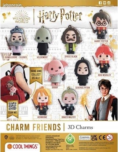Harry Potter Wizarding 5cm Surprise Keyring