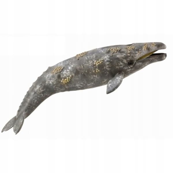GREY WHALE [FIGURINE]