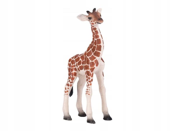 GIRAFFE – YOUNG