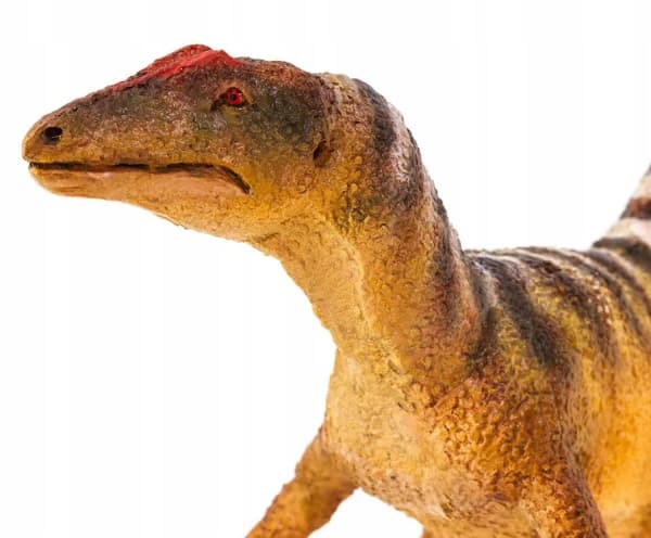 Safari – Concavenator 00355 dinosaur figurine