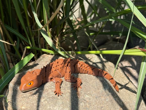 3D Crocodile Skink – lizard, segmented figurine, terrarium decoration