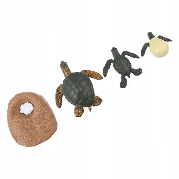 EDUCATIONAL SET OF SEA TURTLE MODELS FOR DECORATION