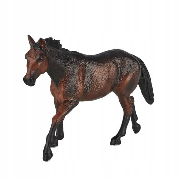 Mojo, a brown Quarter Horse
