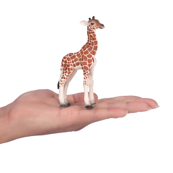 GIRAFFE – YOUNG