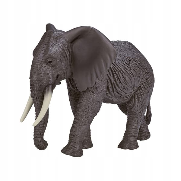 Mojo the African Elephant