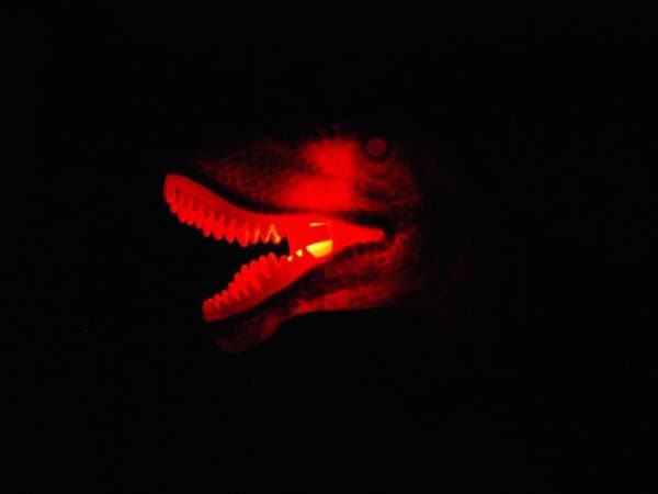 REMOTE-CONTROLLED T-REX DINOSAUR WITH LIGHTS AND ROAR XL