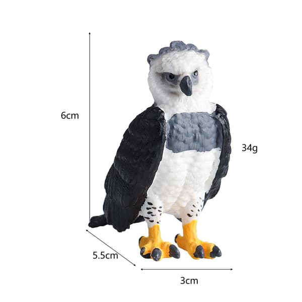 Animal bird model figures Science Educational toy Simulation in A-style