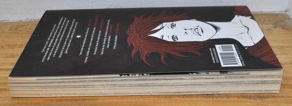 THE PERFECT DEMO BY BRIAN WOOD