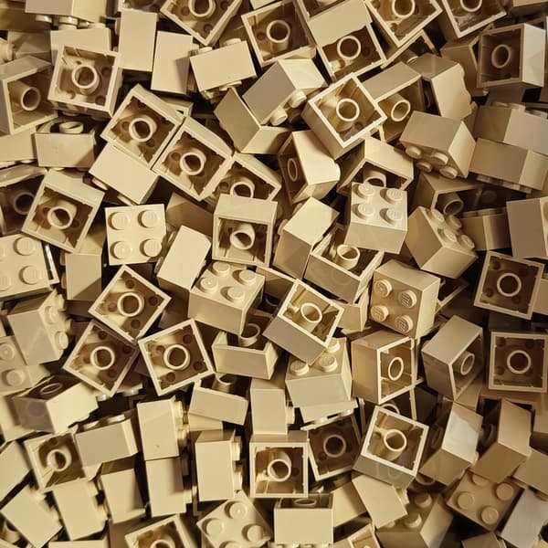 LEGO 2x2 Light Brown Brick 300305 3003 – 100 pieces