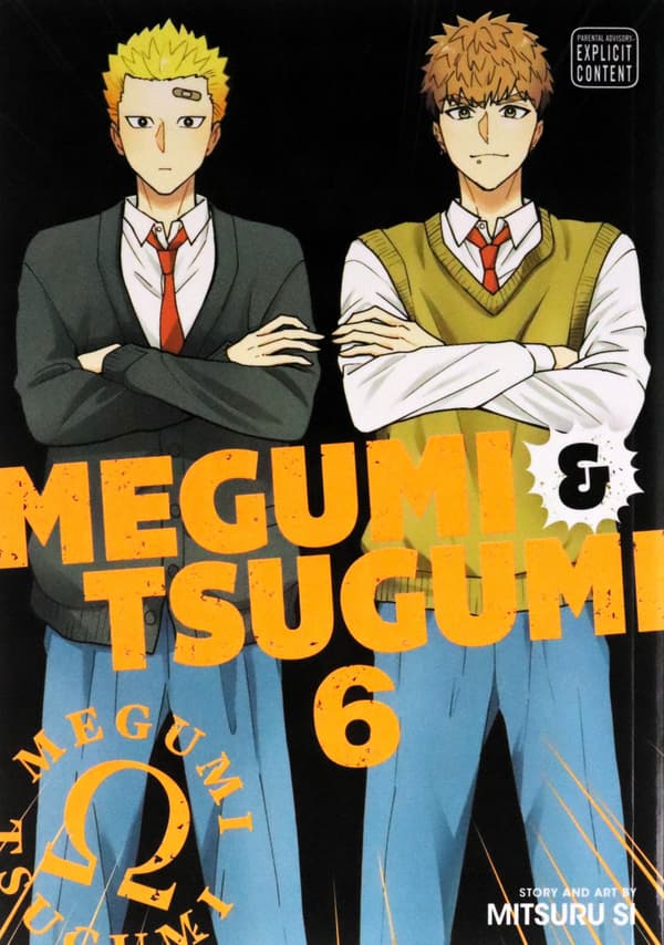MEGUMI+TSUGUMI, VOL. 6: VOLUME 6 – Mitsuru Si (COMIC)