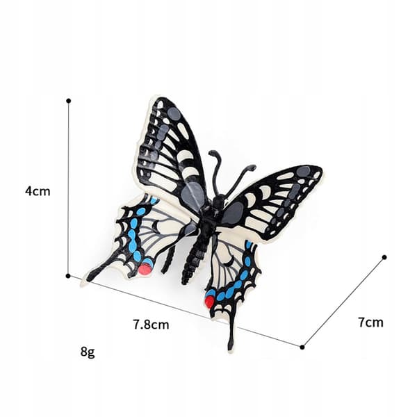 Educational resources for learning about animal models: Swallowtail Butterfly Favours