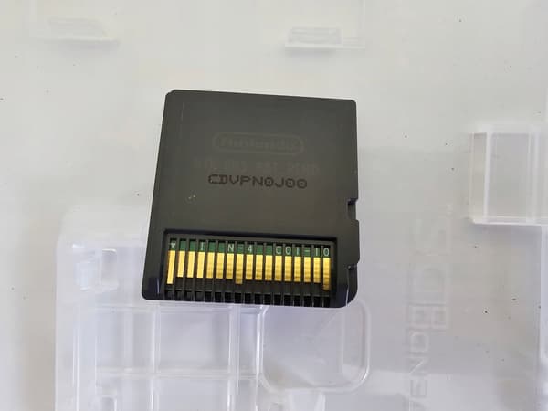 DUNGEON RAIDERS NINTENDO DS