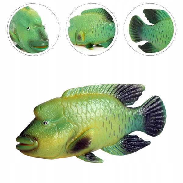 DURABLE PLASTIC MODEL OF A GREEN NAPOLEON FISH