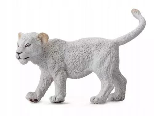 A white lion cub out for a walk.