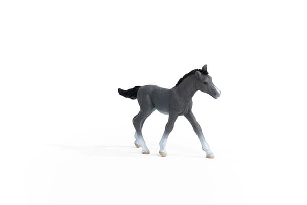 A THRAKEN FOAL