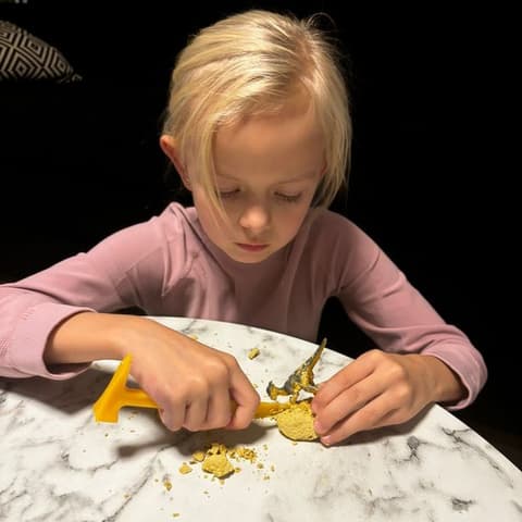 Dinosaurs: The Dinosaur Mine – excavations