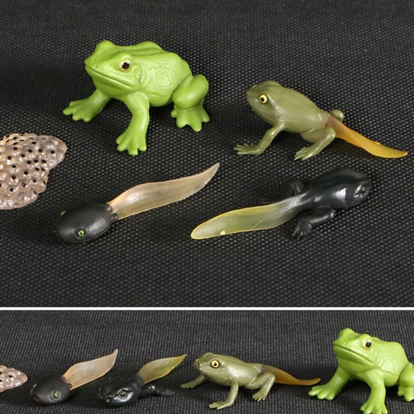 ANIMAL FIGURINES FOR DISPLAY AND LEARNING – A SET FOR CHILDREN