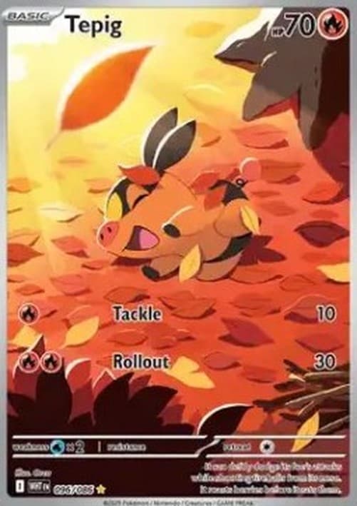 Pokemon TCG Tepig
