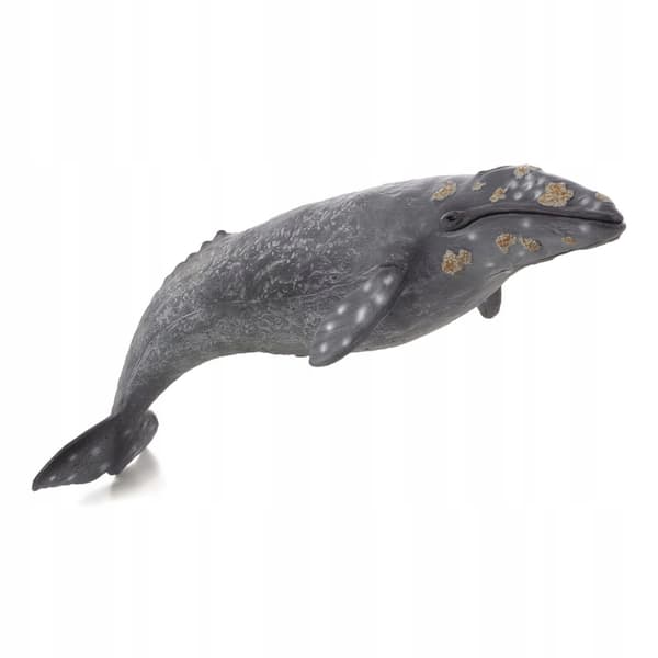Mojo Grey Fin