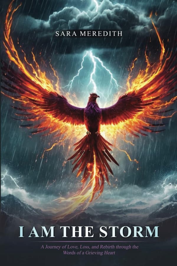 Meredith, Sara: I am the storm