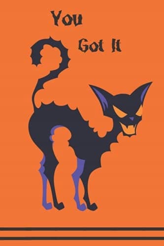 Notebook - You Got it: Blank 6x9 Composition Notebook with 120 lined pages