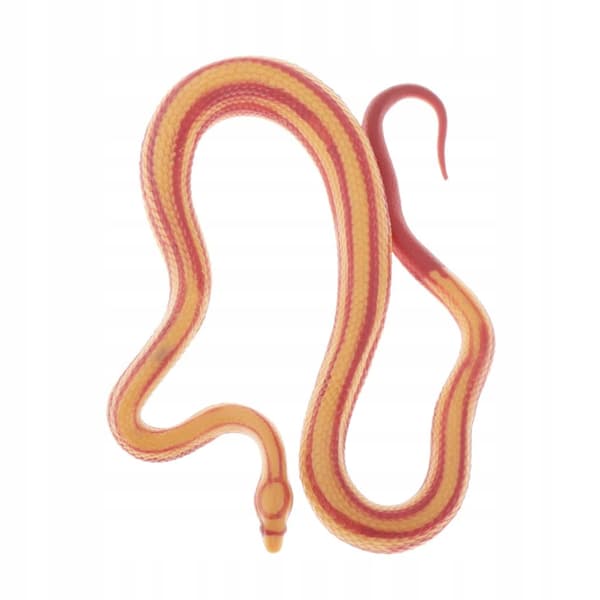 Animals Action figure models Educational science Educational snake