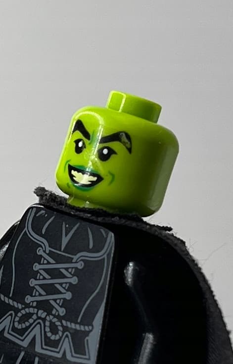 Lego Dimensions Wicked Witch dim005 + 4332 DEFECT/