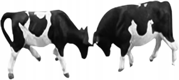 9 FARM ANIMAL MODELS – COWS – HO SCALE 1:87