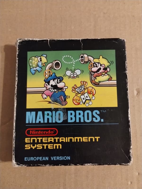 The NES Mario Bros game