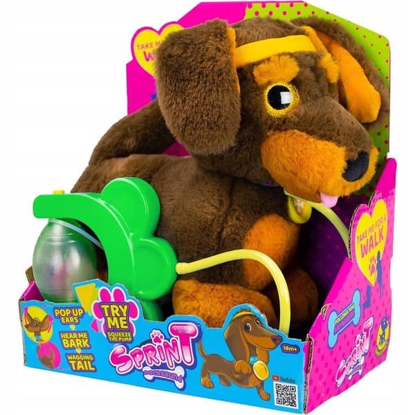 Sparky’s Sprint: Dachshund Puppy