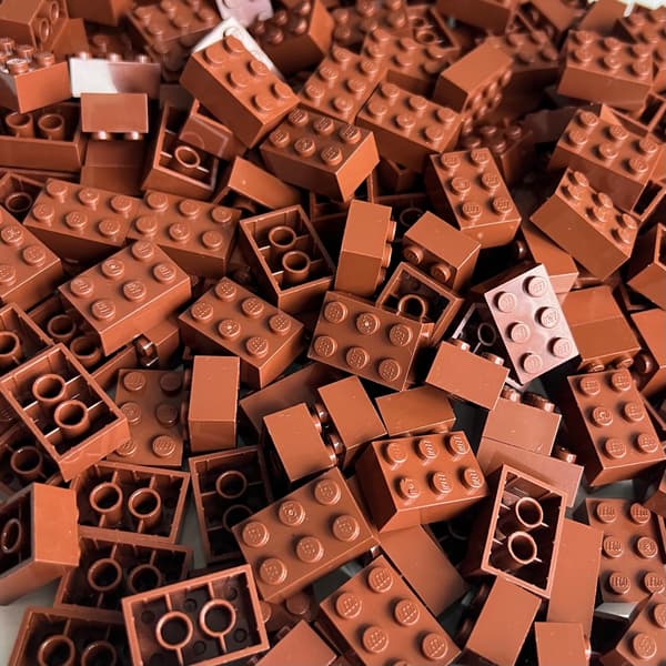 LEGO 2x3 brown bricks, 100 pieces, 3002 REDDISH BROWN brick