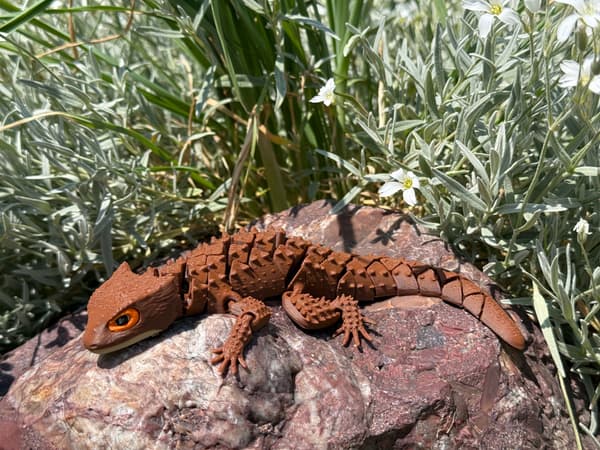 3D Crocodile Skink – lizard, segmented figurine, terrarium decoration