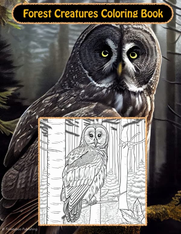 Forest Creatures Colouring Book: Forest wildlife