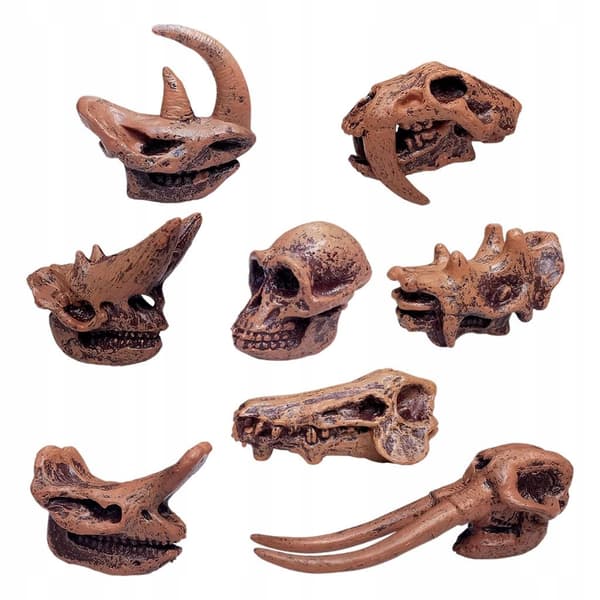 Simulation: Mammals, Children, Learning, Figurines A