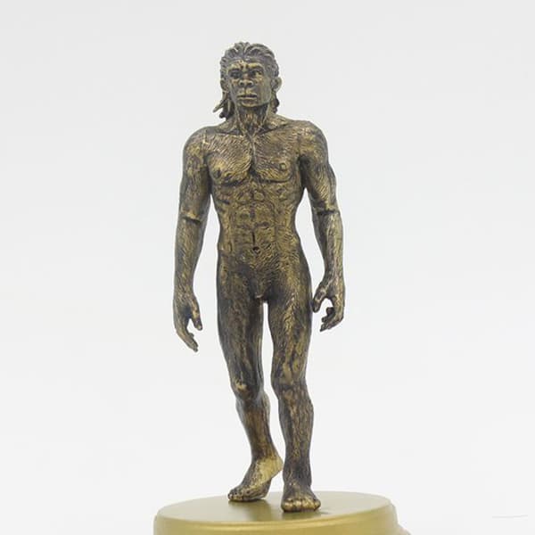5-PIECE CREATIVE TOY: HUMAN MODEL – EVOLUTION