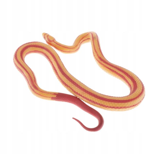 Animals Action figure models Educational science Educational snake