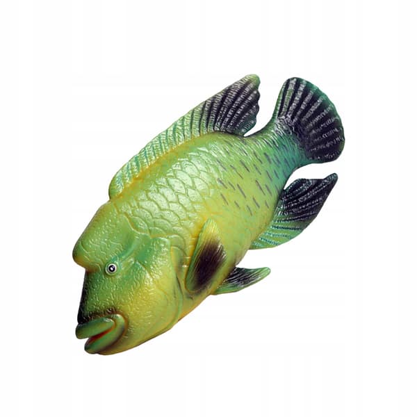 DURABLE PLASTIC MODEL OF A GREEN NAPOLEON FISH