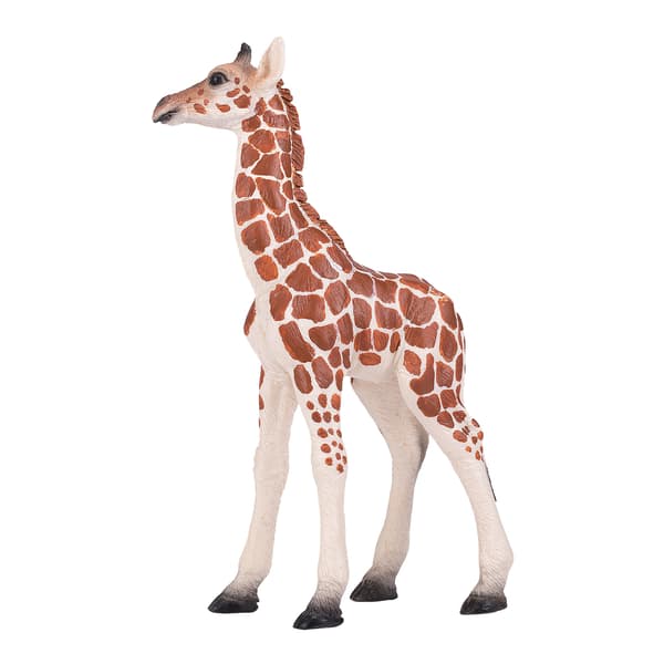 GIRAFFE – YOUNG