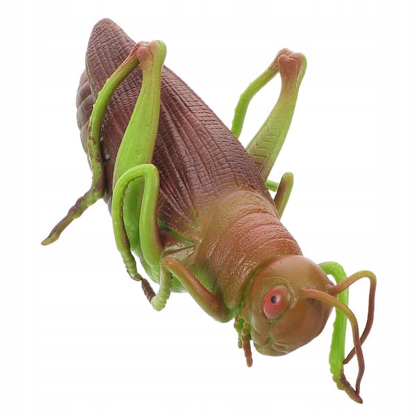 SOFT GRASSHOPPER – EDUCATIONAL TOY AND ROOM DECORATION