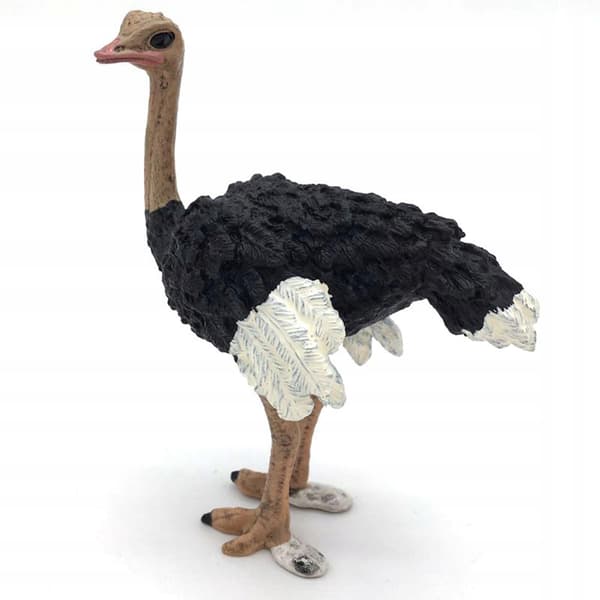 5x Hand-Painted Lifelike Birds Simulation Educational Toy Model in D-Style