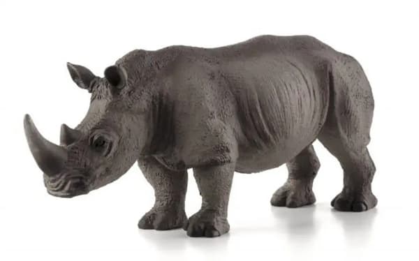 Mojo the White Rhinoceros