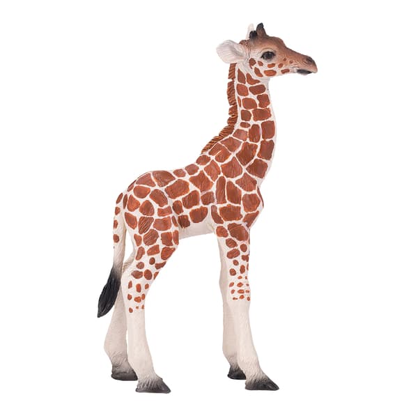 GIRAFFE – YOUNG