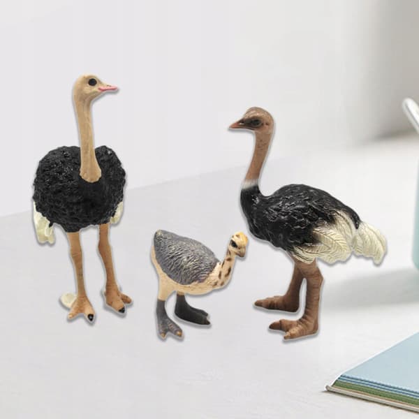 3x Bird models Ostrich model Animal figurines Sculptures Science Educational