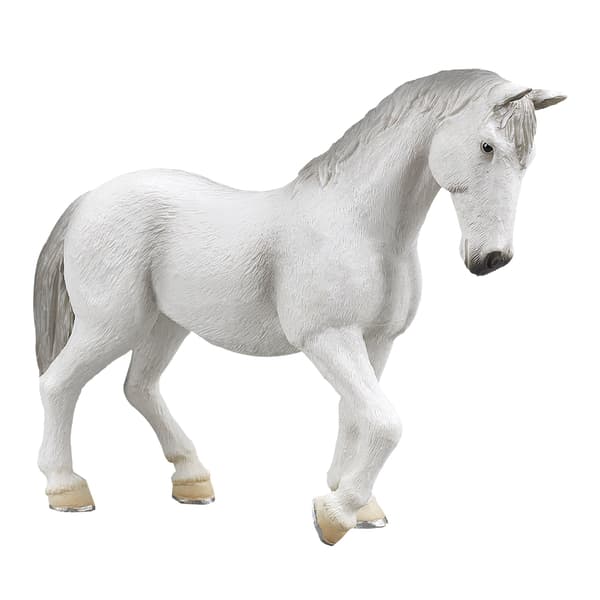 Mojo, a Lipizzaner mare