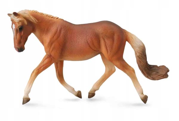 Haflinger mare / Collecta