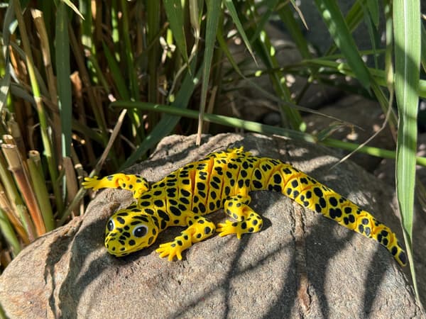 3D Leopard Gecko – a realistic segmented figurine, terrarium decoration